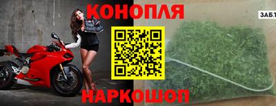 СК Пугачёв