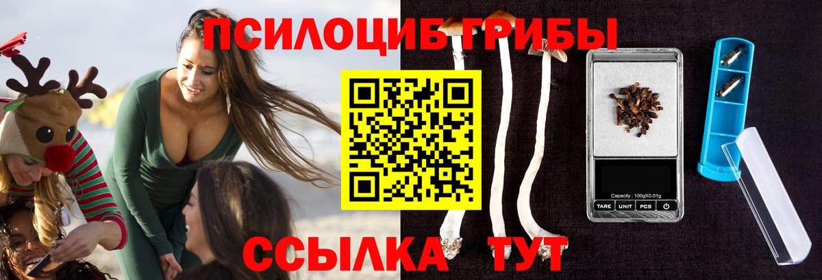 Псилоцибиновые грибы мицелий Петропавловск-Камчатский